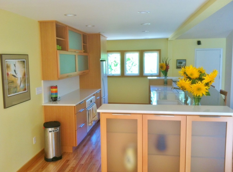 Immagine di una cucina moderna di medie dimensioni con lavello sottopiano, ante lisce, ante in legno chiaro, top in quarzo composito, elettrodomestici in acciaio inossidabile, pavimento in legno massello medio e pavimento marrone