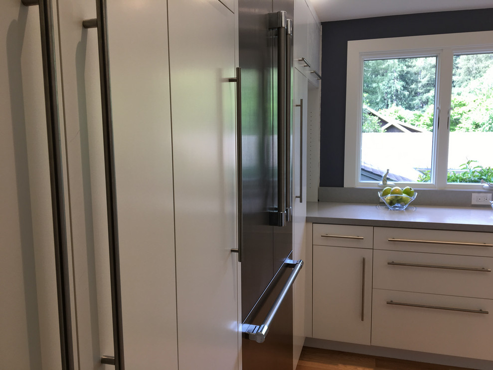 Imagen de cocina comedor contemporánea de tamaño medio con armarios con paneles lisos y puertas de armario blancas