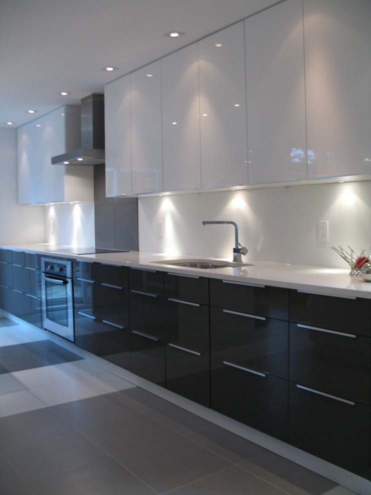 This is an example of a modern kitchen in Ottawa.