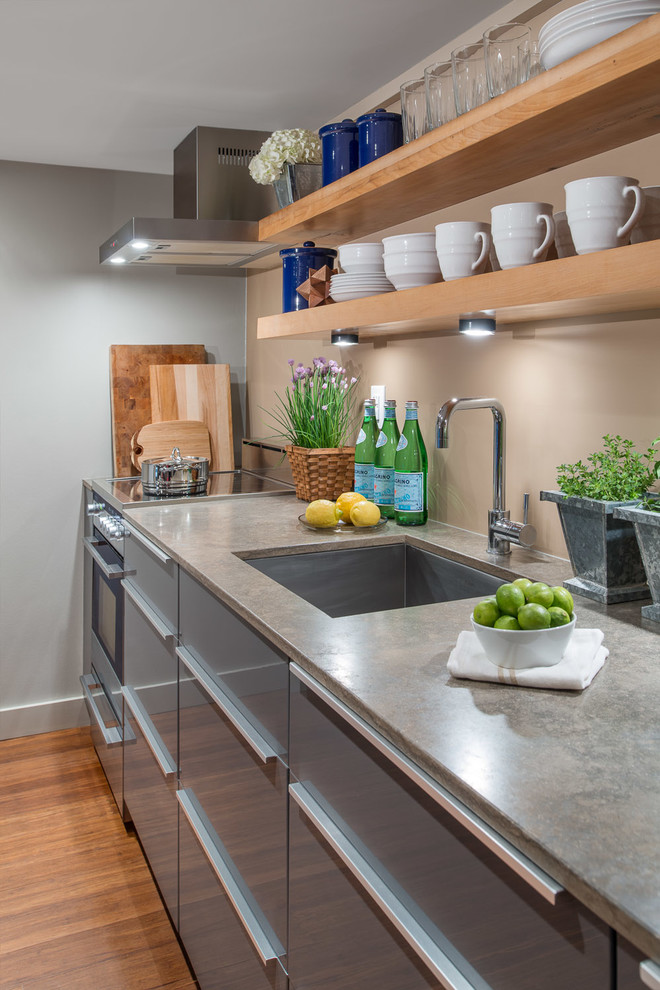 Modern Basement Apartment Kitchen Eclectic Kitchen Toronto by Smith and Clarke Interiors