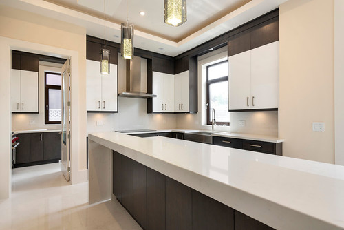 Contemporary kitchen with two-tone RTA cabinets showcasing reliable wholesale supply for trade professionals