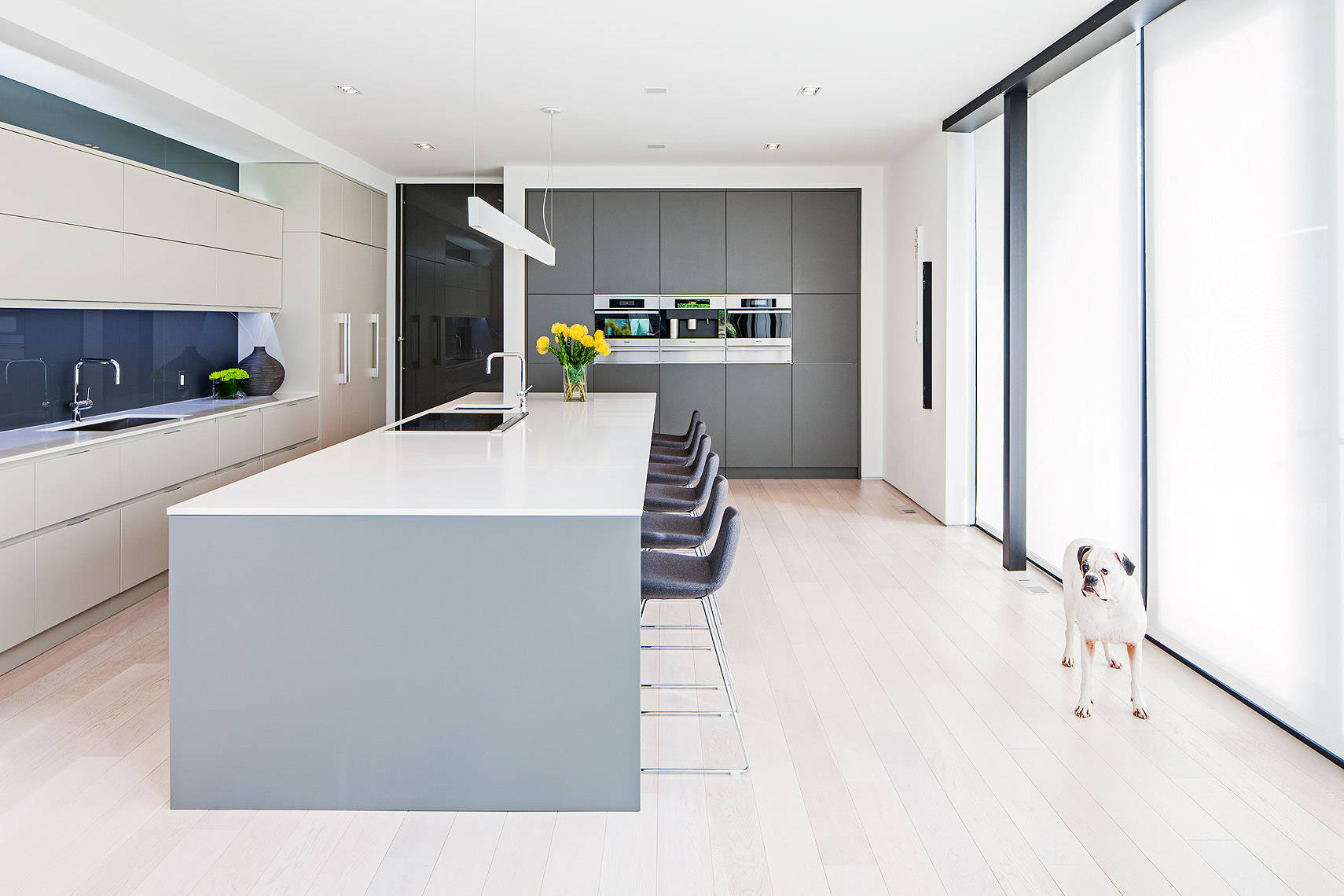 Modern Kitchen Layout Houzz