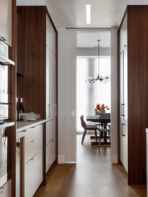 Modern kitchen cabinets Design Remodel - Modern - Kitchen - Other - by