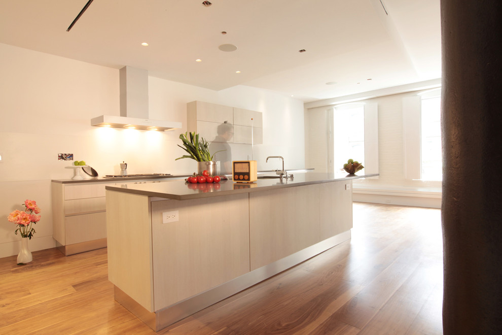 Cette image montre une cuisine minimaliste avec un placard à porte plane et des portes de placard blanches.