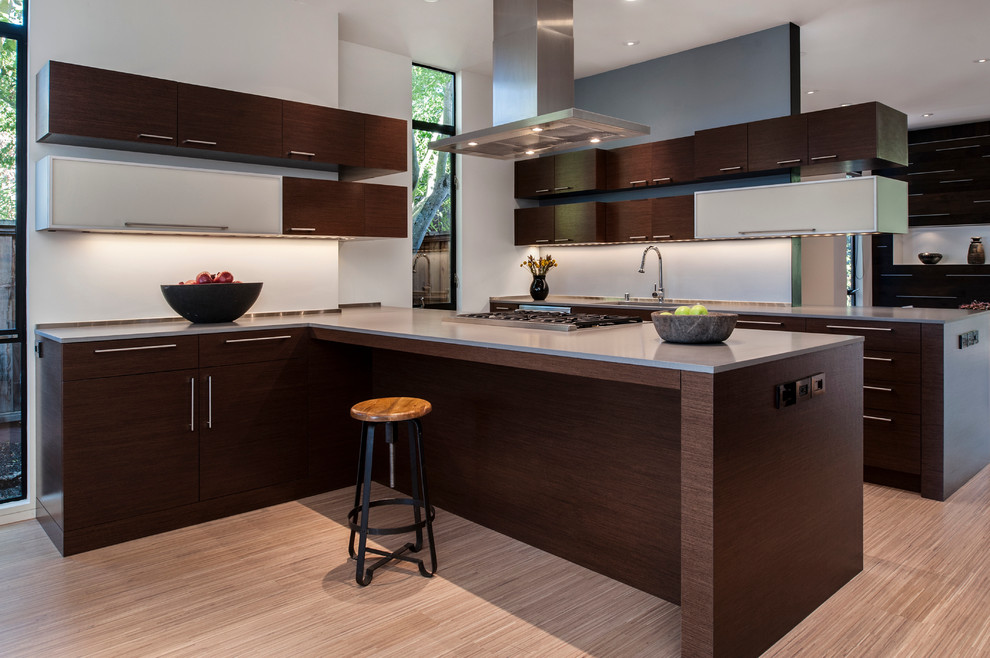 Стильный дизайн: кухня в стиле модернизм с плоскими фасадами и темными деревянными фасадами - последний тренд