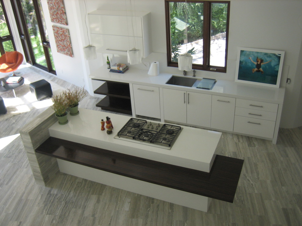 Trendy galley kitchen photo in Los Angeles with flat-panel cabinets and white cabinets