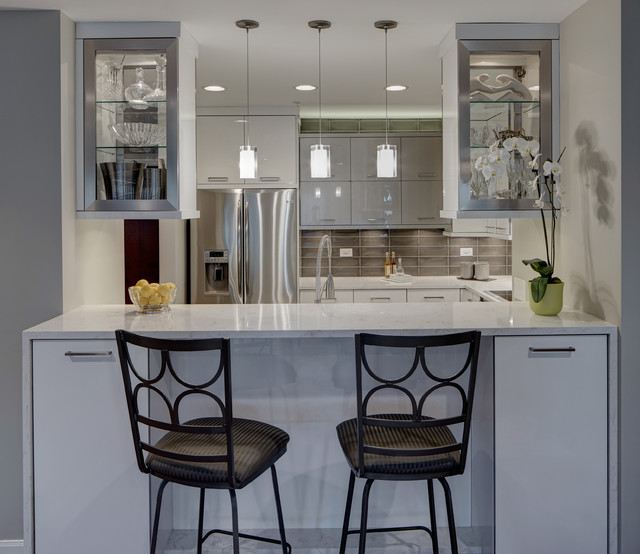 Modern Monochromatic Kitchen Wheaton, IL Contemporaneo Cucina