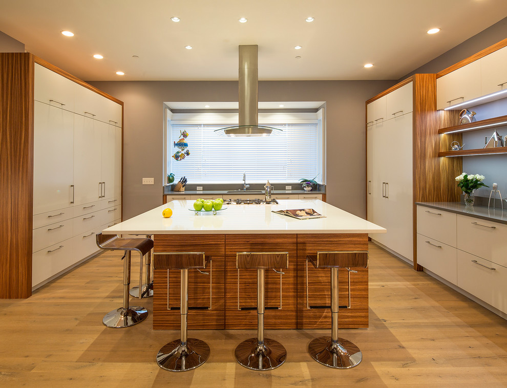 Inspiration for a large contemporary kitchen in DC Metro with a submerged sink, flat-panel cabinets, white cabinets, engineered stone countertops, integrated appliances, light hardwood flooring and an island.