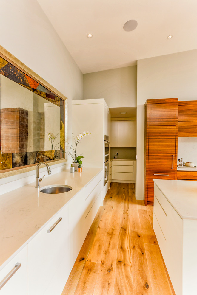 Modern Reveal Contemporary Kitchen Calgary by Denca