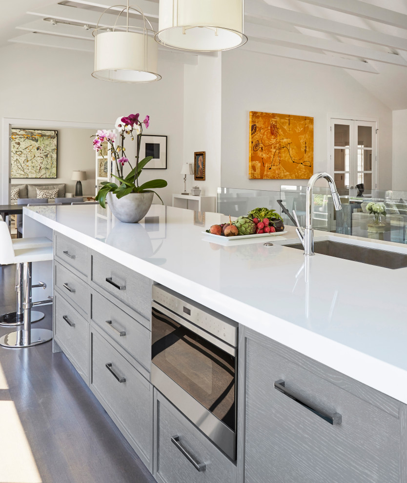 Modern White Kitchen in Wilmette, IL Transitional Kitchen Chicago