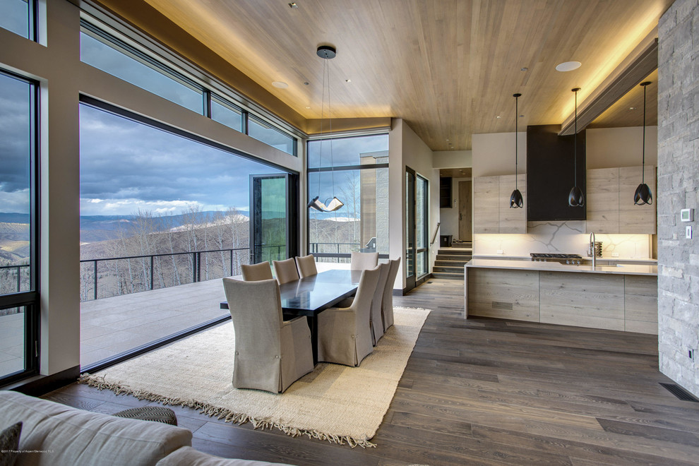 Große Moderne Wohnküche mit flächenbündigen Schrankfronten, Elektrogeräten mit Frontblende, braunem Holzboden und Kücheninsel in Denver