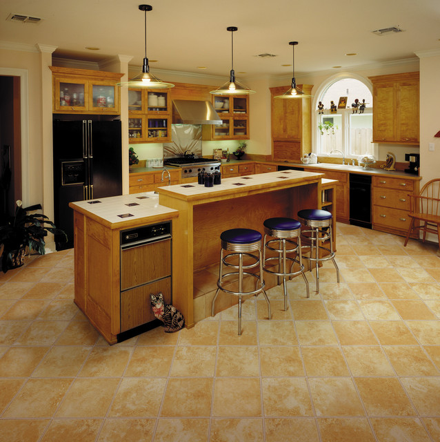 New Project Contemporary Kitchen Austin by Floor Coverings International of Amarillo