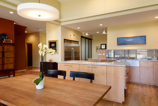 No Wall Cabinets Contemporary - Contemporary - Kitchen - Seattle - by ...