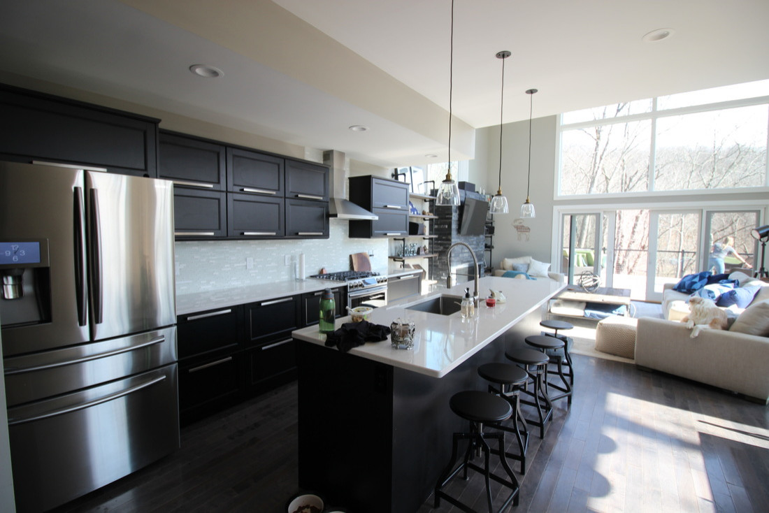northside house - modern - kitchen - cincinnati -wright design