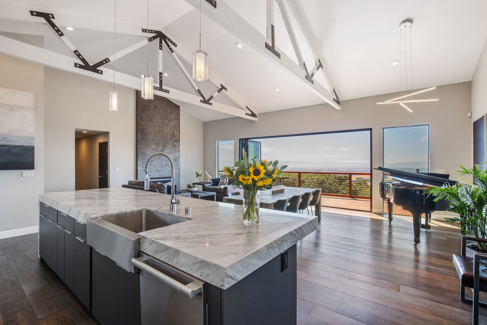 Large minimalist dark wood floor and vaulted ceiling open concept kitchen photo in San Francisco with a farmhouse sink, flat-panel cabinets, gray cabinets, marble countertops, stainless steel appliances, an island and white countertops