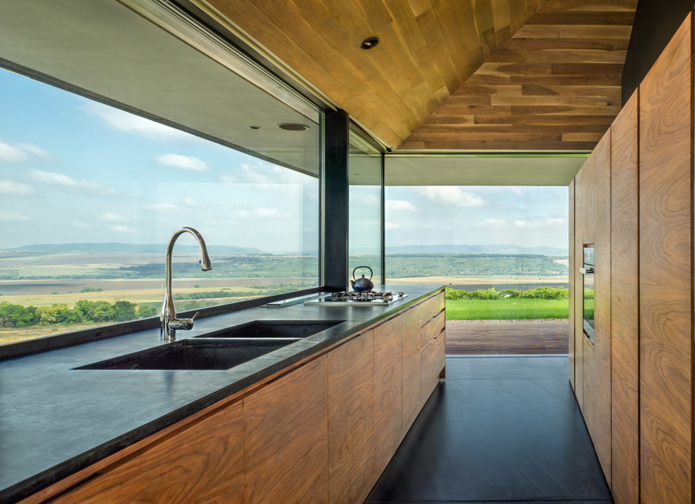 Imagen de cocina lineal minimalista sin isla con fregadero de doble seno, armarios con paneles lisos y puertas de armario de madera oscura