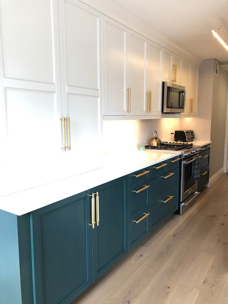 Omega with Custom Shop Paint by 360 Interior Concept