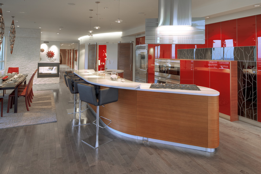 Cette photo montre une cuisine tendance avec un placard à porte plane, des portes de placard rouges et un électroménager en acier inoxydable.