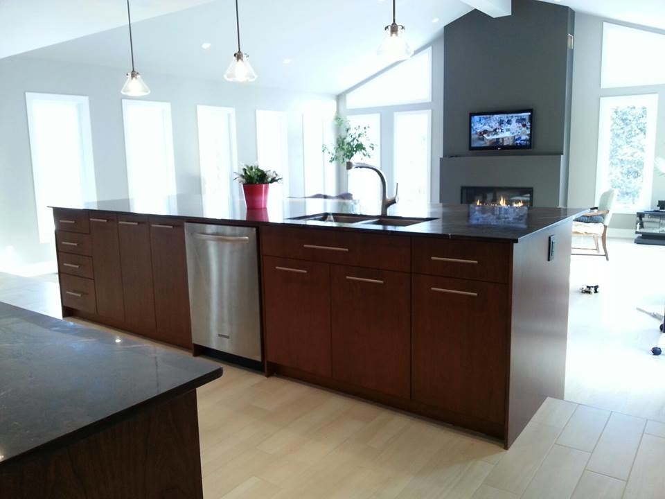 Example of a minimalist kitchen design in Ottawa