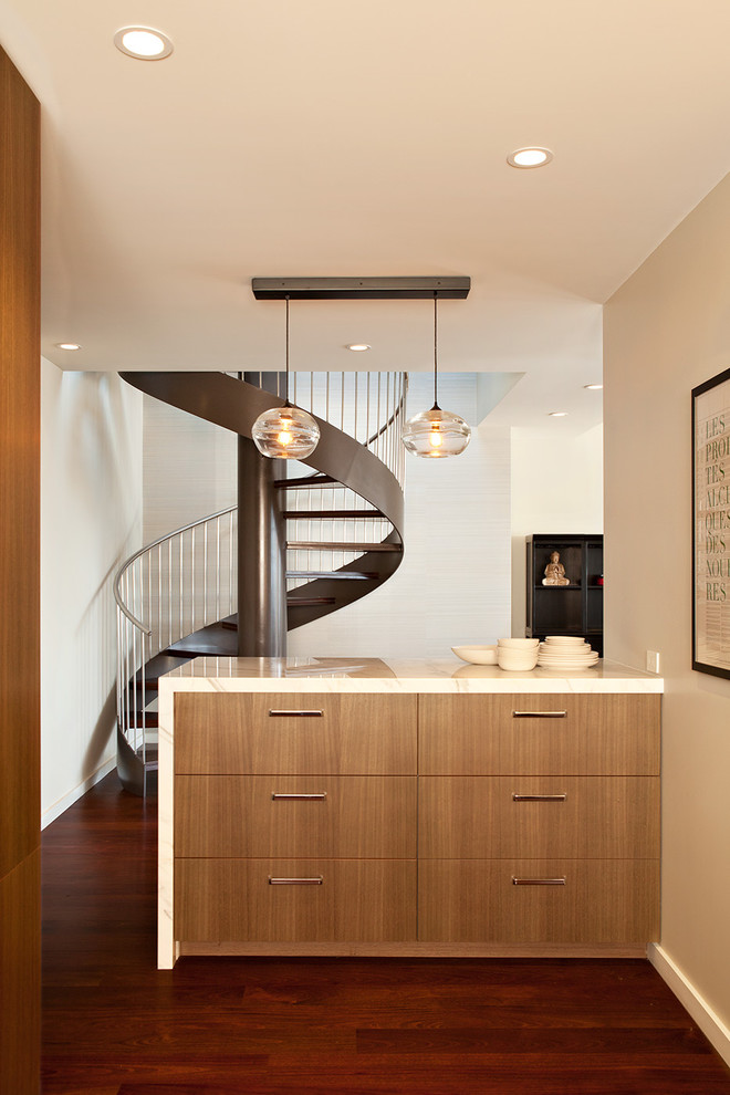 Imagen de cocina minimalista con armarios con paneles lisos y puertas de armario de madera oscura