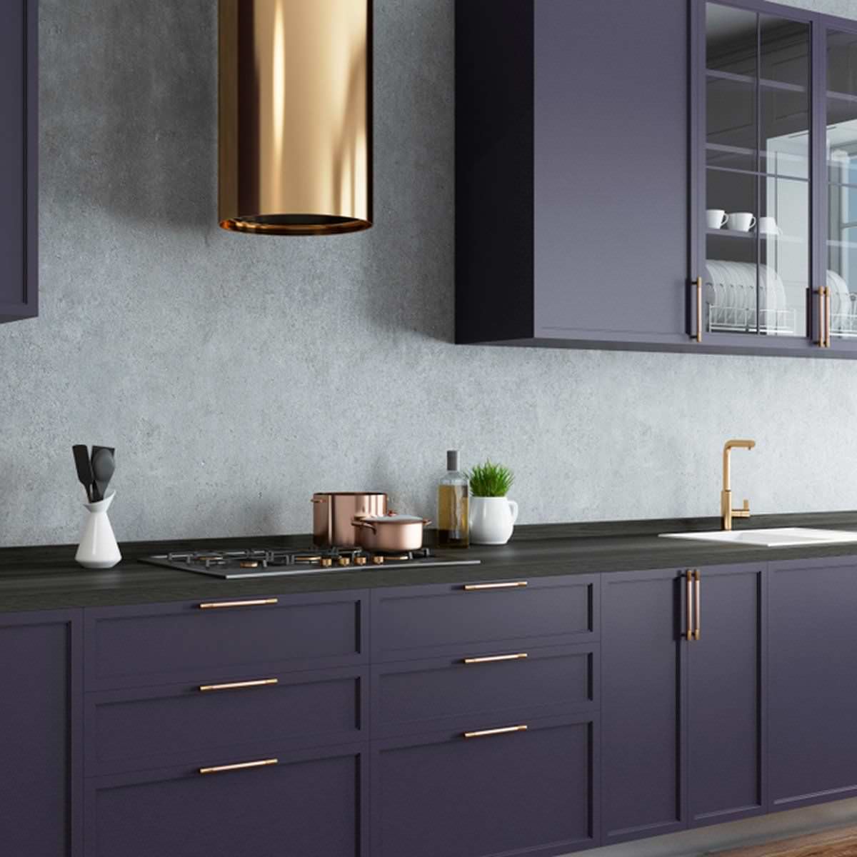 75 Beautiful Purple Kitchen Pictures Ideas October 2020 Houzz