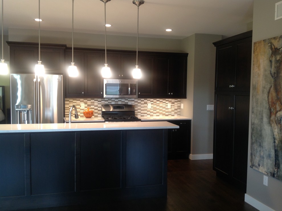 Example of a mid-sized trendy galley dark wood floor eat-in kitchen design in Cedar Rapids with an undermount sink, shaker cabinets, dark wood cabinets, quartzite countertops, gray backsplash, glass sheet backsplash, stainless steel appliances and an island