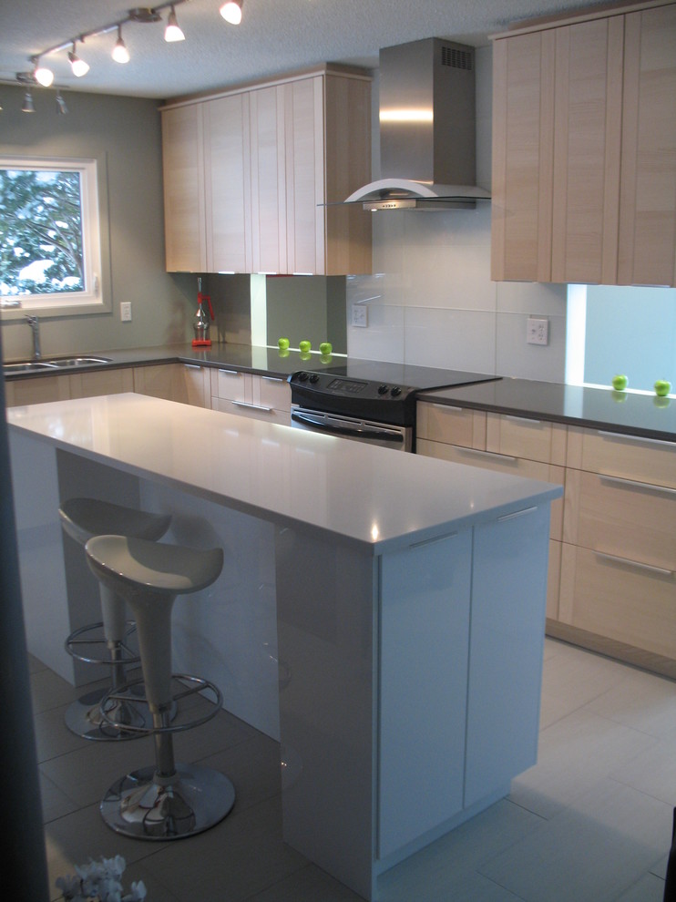 Example of a minimalist kitchen design in Ottawa