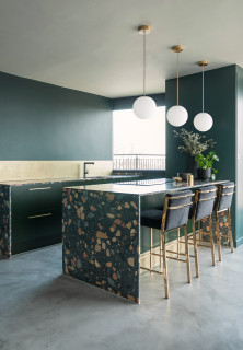 Multicolored Terrazzo Countertops Recall a Well-Traveled Life in This DC  Kitchen Reno