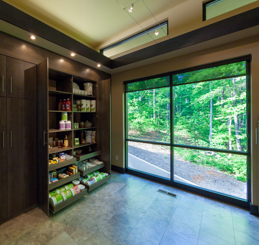 Photo of a contemporary kitchen pantry in Other with flat-panel cabinets and dark wood cabinets.