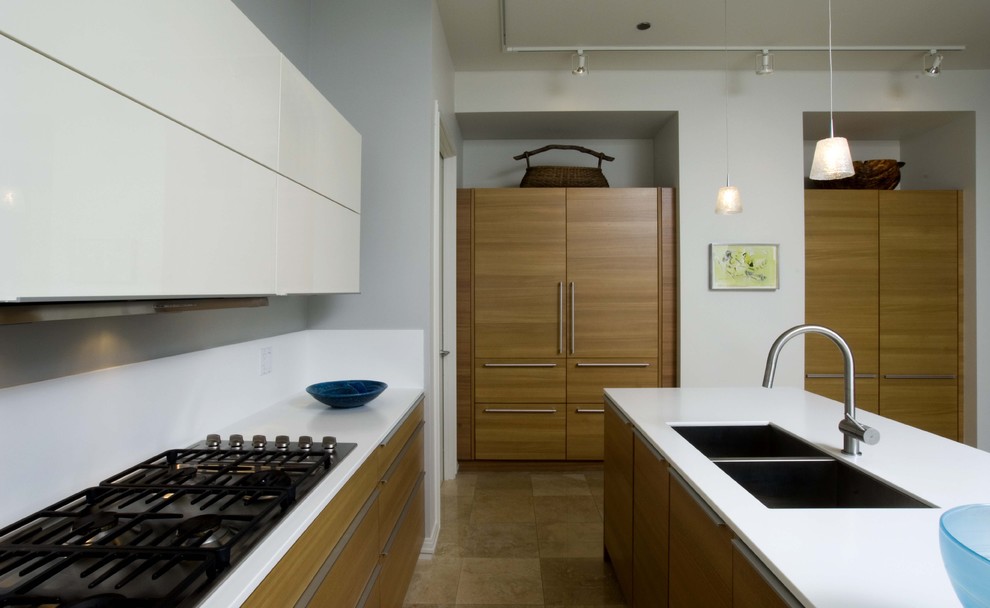 На фото: кухня в стиле модернизм с двойной мойкой, плоскими фасадами, фасадами цвета дерева среднего тона и техникой под мебельный фасад