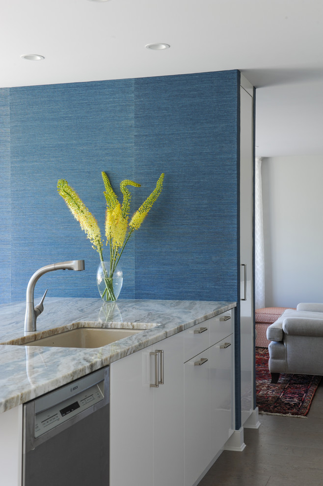 Mid-sized trendy galley cork floor eat-in kitchen photo in Vancouver with an undermount sink, glass-front cabinets, white cabinets, granite countertops, blue backsplash, glass sheet backsplash, stainless steel appliances and a peninsula