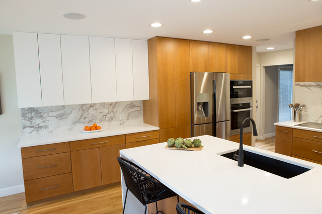 Post Modern Kitchen for the 21st Century - Modern - Kitchen - Chicago