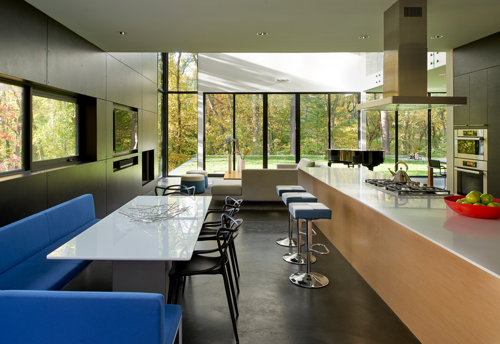 Moderne Wohnküche mit flächenbündigen Schrankfronten, dunklen Holzschränken, Küchengeräten aus Edelstahl, Betonboden und Kücheninsel in Washington, D.C.