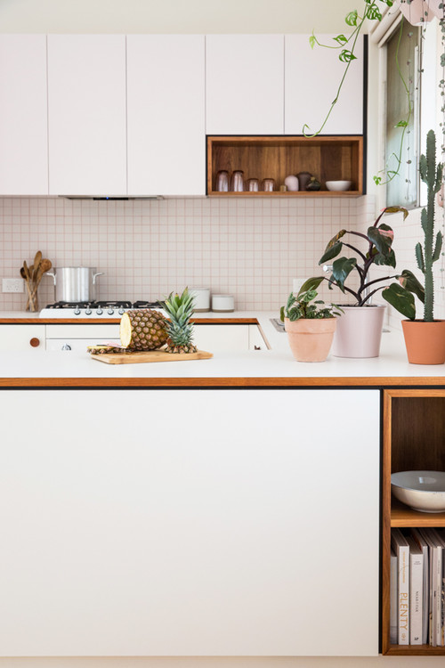 Greenery Plants in Minimalist All White Kitchen Design - Fresh Retro Kitchen Backsplash Ideas