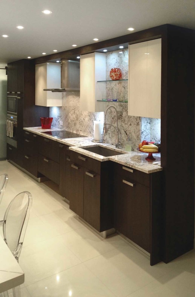 Puerto Rico Apartment Contemporary Kitchen New York by DELUXE