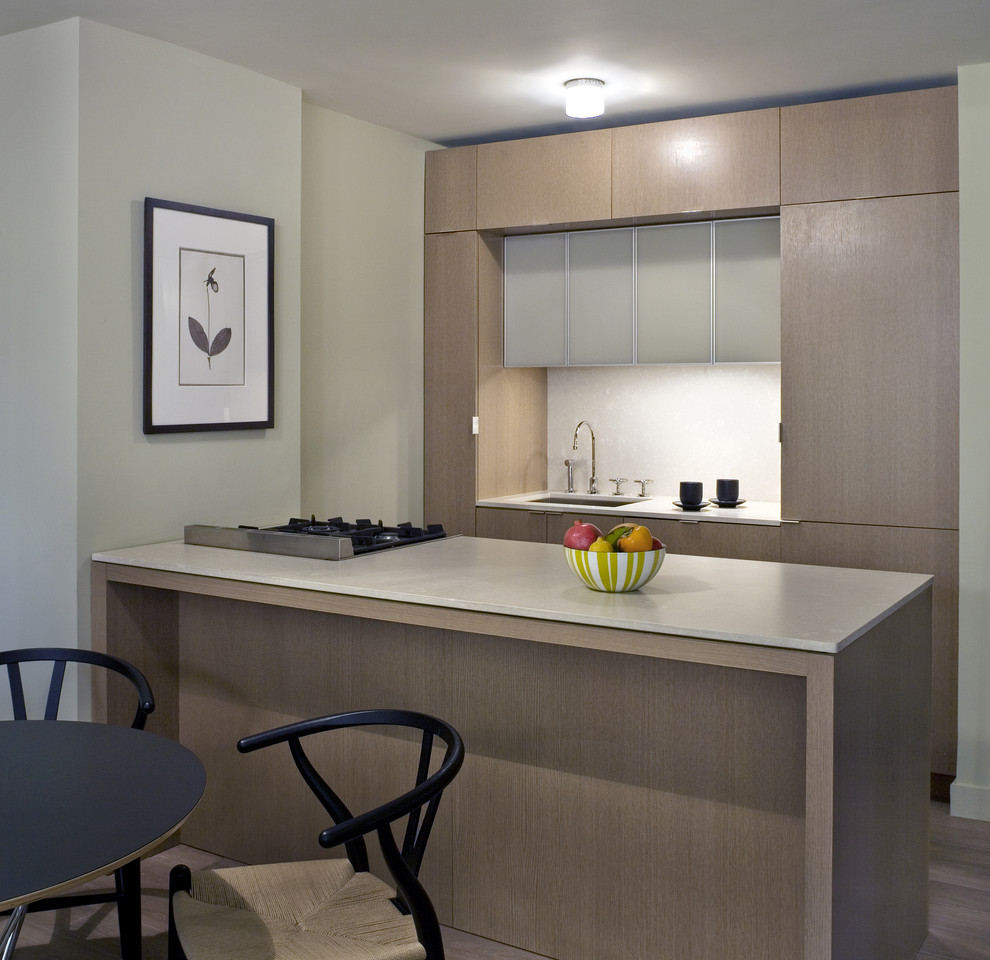 Foto de cocina minimalista con armarios con paneles lisos, puertas de armario de madera clara y fregadero de un seno