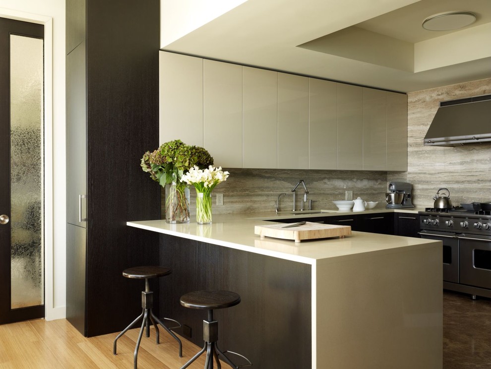 Inspiration for a contemporary kitchen remodel in New York with stainless steel appliances