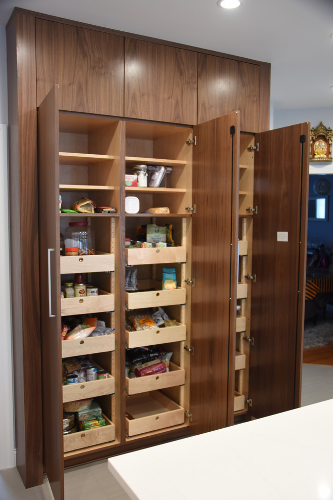 Roll Outs In The Pantry Cabinet Aanensens Designers Builders Craftsmen Img~ba014d290dc1ce1b 9 3489 1 0456e34 