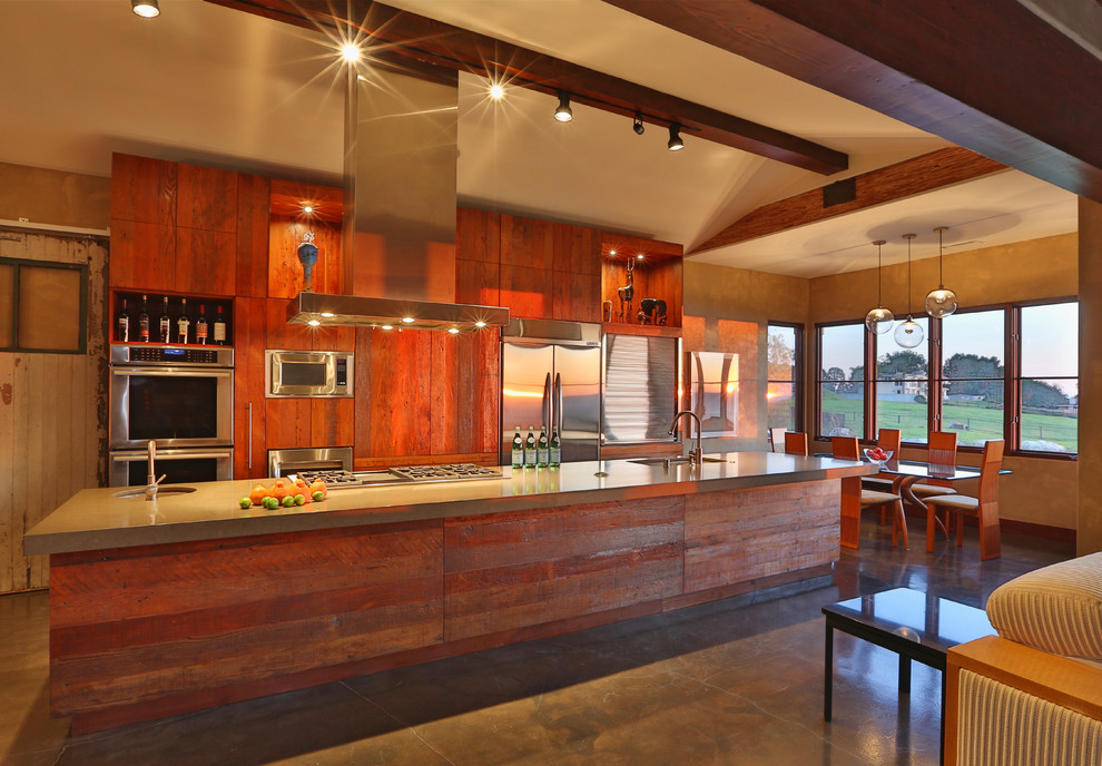 Идея дизайна: параллельная кухня-гостиная в современном стиле с плоскими фасадами, фасадами цвета дерева среднего тона и техникой из нержавеющей стали
