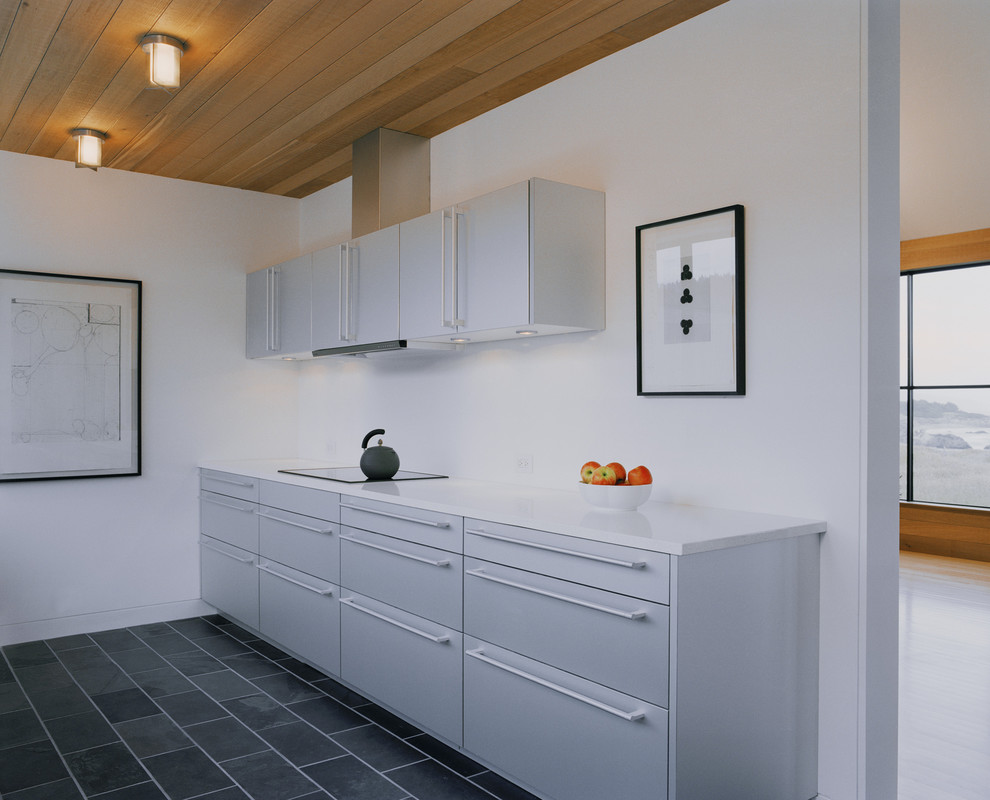 На фото: кухня в современном стиле с плоскими фасадами и серыми фасадами