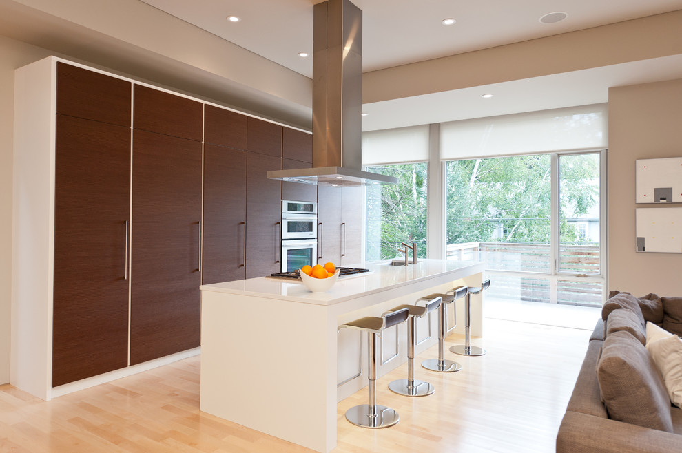 Eat-in kitchen - mid-sized contemporary galley eat-in kitchen idea in Ottawa with an undermount sink, flat-panel cabinets, medium tone wood cabinets, stainless steel appliances and an island
