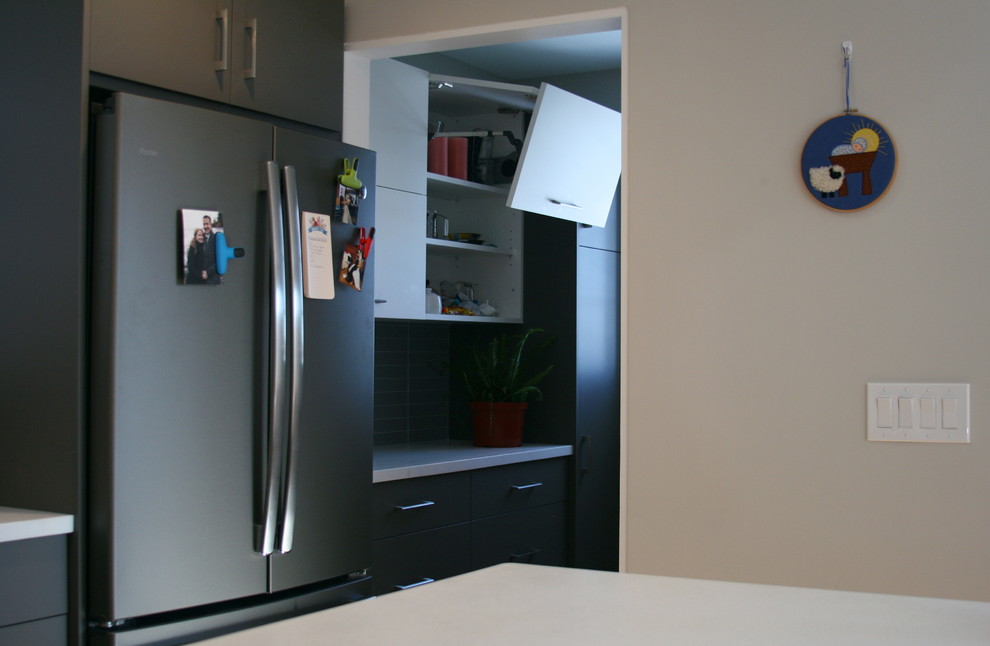 Ejemplo de cocina moderna de tamaño medio con despensa y armarios con paneles lisos