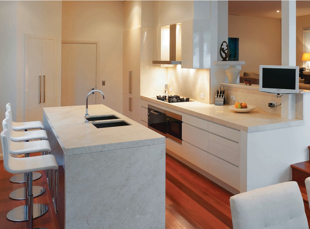 Zweizeilige Moderne Wohnküche mit Kücheninsel in Sydney