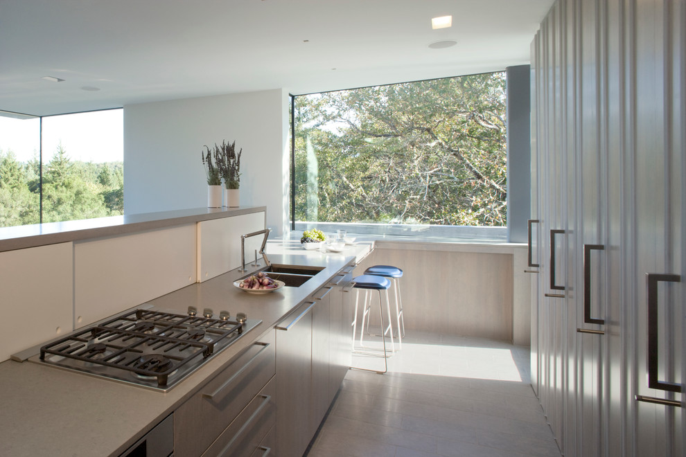 Foto di una cucina minimalista con lavello a doppia vasca e ante lisce