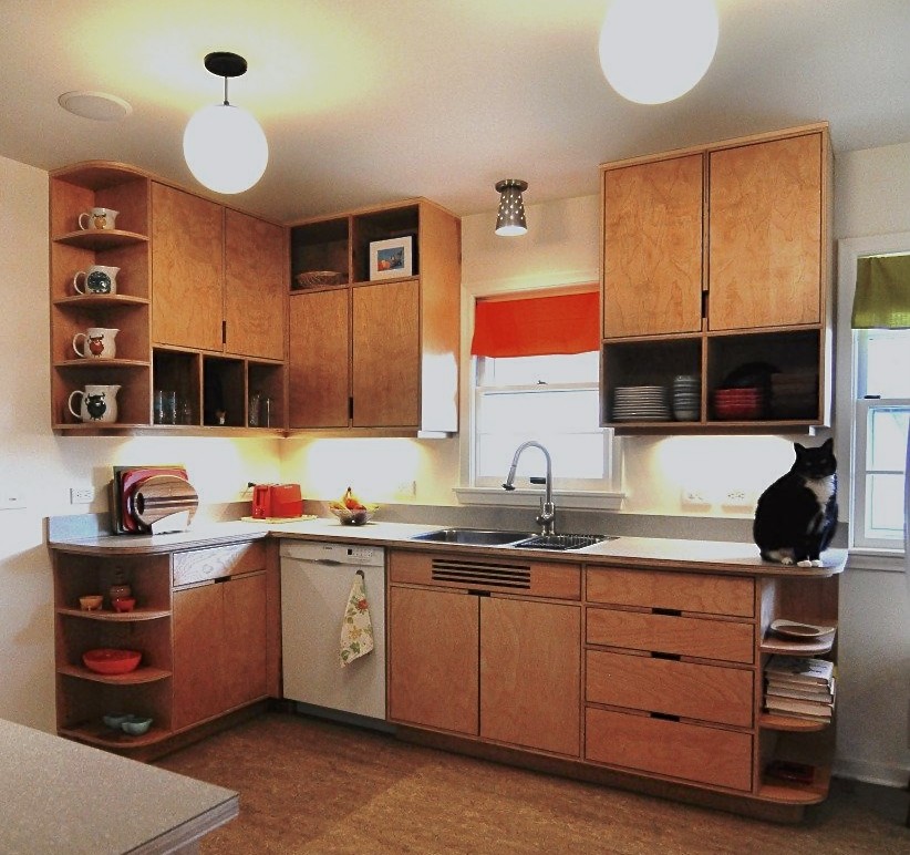 1950s kitchen photo in Minneapolis
