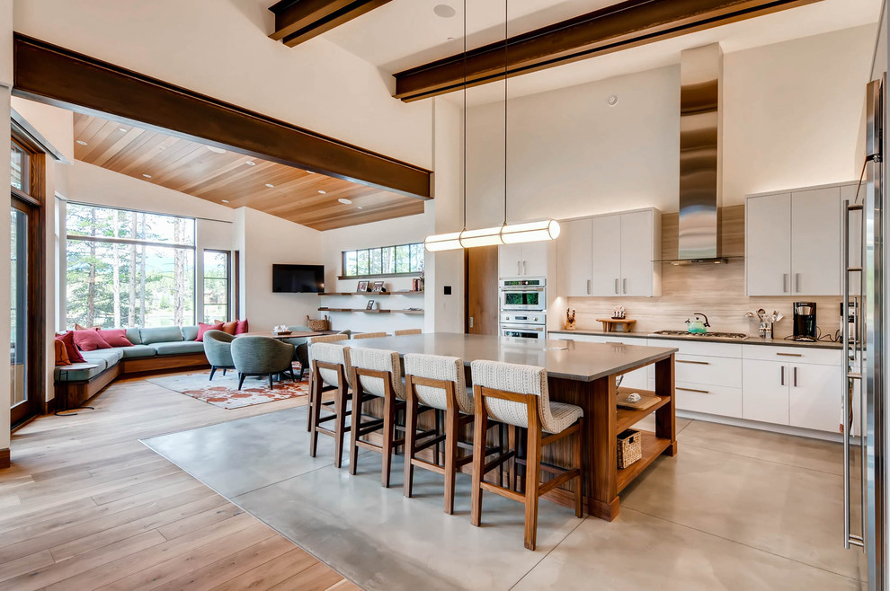 Summit County Modern Contemporary Kitchen Denver by Hagman