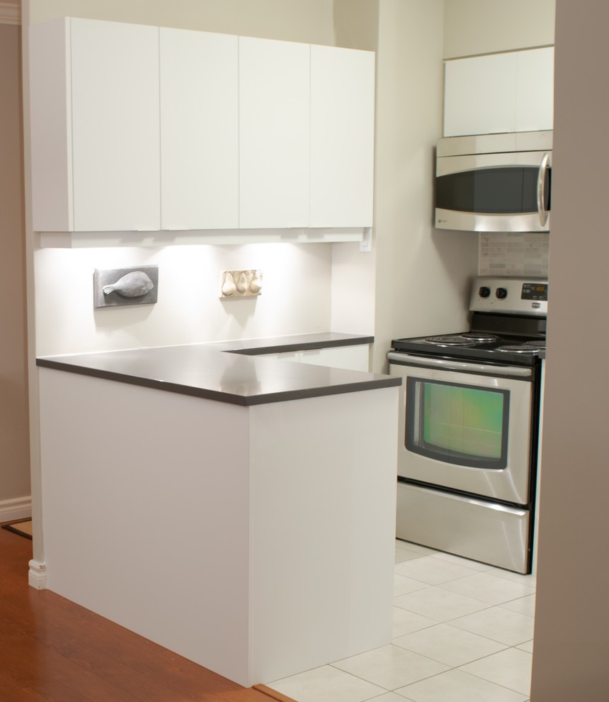 Super matte condo kitchen - Toronto - Modern - Kitchen - by Devix Kitchens