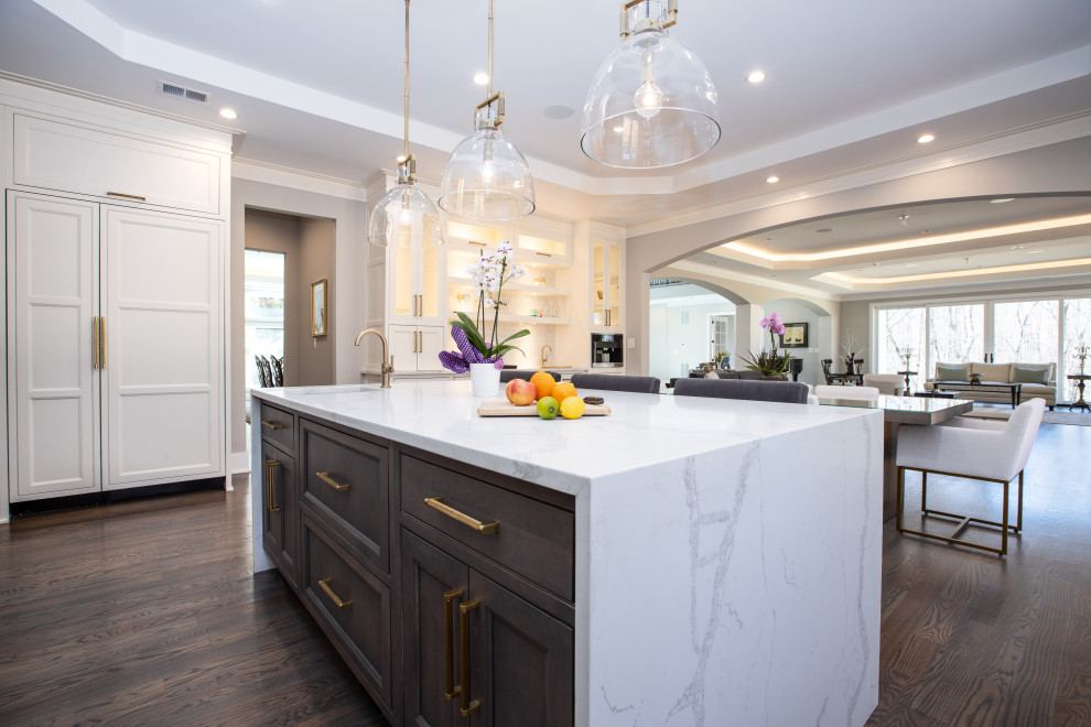 Taheri Kitchen Design - Transitional - Kitchen - DC Metro ...