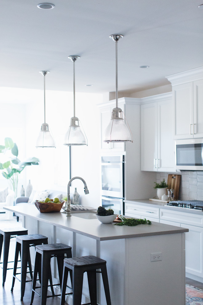 Terra Cotta Townhome Transitional Kitchen Chicago by Timber