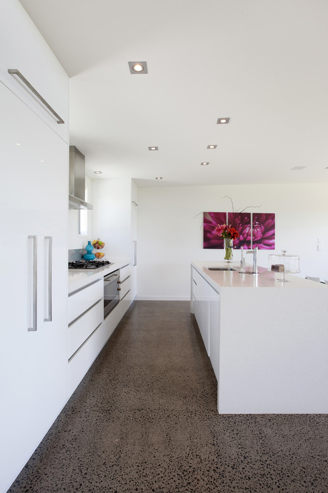 Example of a minimalist galley kitchen design in Other with flat-panel cabinets, white cabinets and paneled appliances